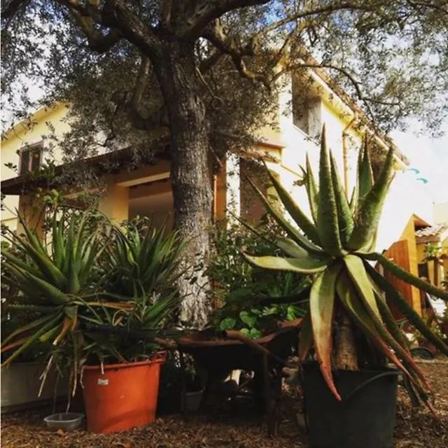 بيت ضيافة ألغيرو Rio Barca Bed And Breakfast